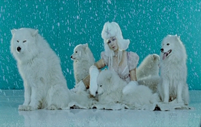 Мне не жаль