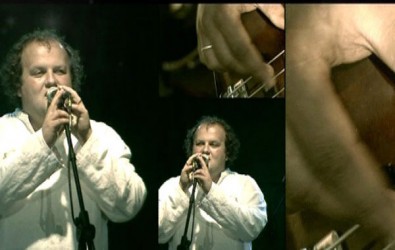 Білі троянди