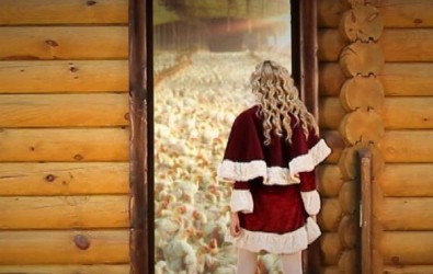 А я пришла домой